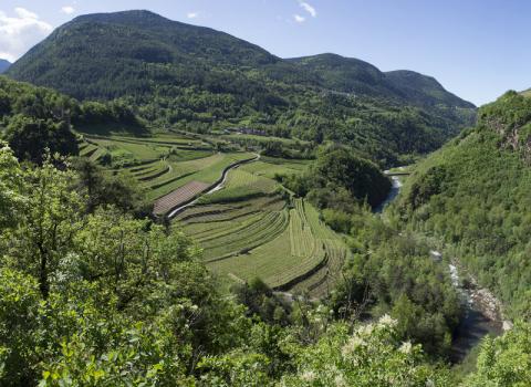 Panorama Corvaia Faver (foto di Albatros)
