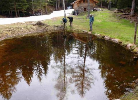 Riserva Locale Acqua della Rossa