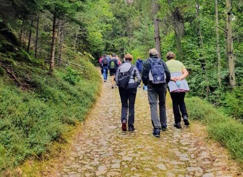Le nostre iniziative di ottobre sono annullate