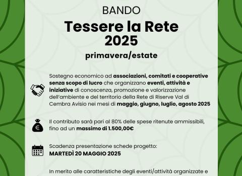 Bando Tessere la Rete 2025 - sessione primavera/estate