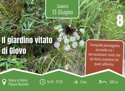 Curiosi tutto l'anno 2026