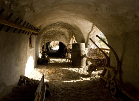 Il Giro dei Masi di Grumes