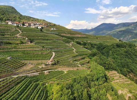 San Leonardo e le campagne di Lisignago
