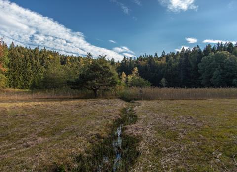 Il Lago Santo e la torbiera del Lagabrun