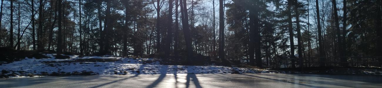 Riflessi d'inverno