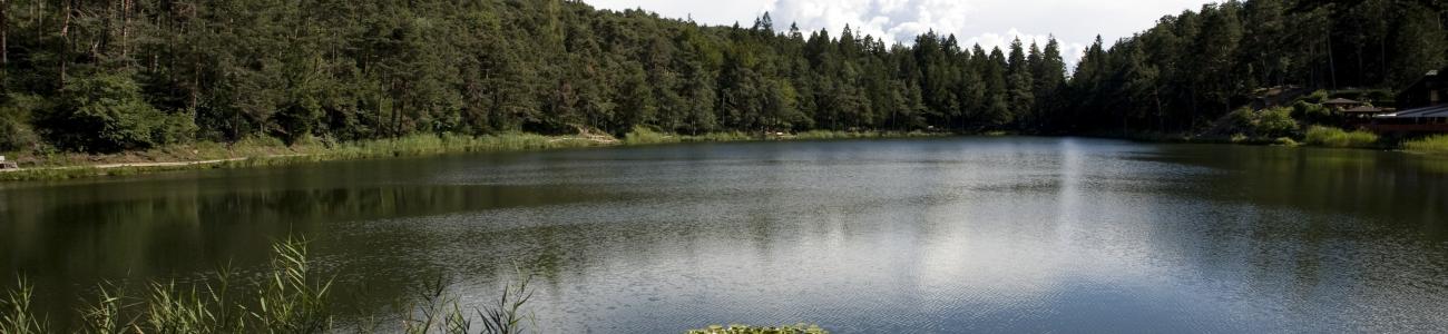Acqua, luogo di vita